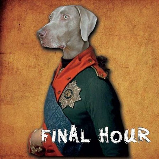 Cover for Final Hour · Life Like This (CD) (2014)