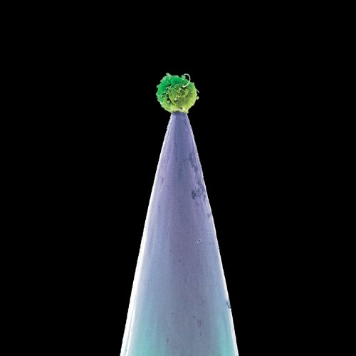 New Blood - Peter Gabriel - Music - EMM/PETER GABRIEL - 0884108000359 - October 11, 2011