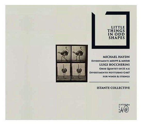 Cover for Istante Collective-period Instrument Collective · Little Things in Odd Shapes (CD) (2019)