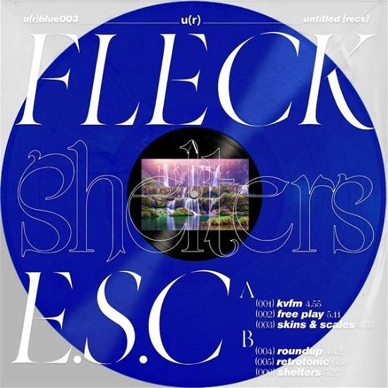 Cover for Fleck E.S.C. · Shelters (LP) (2021)