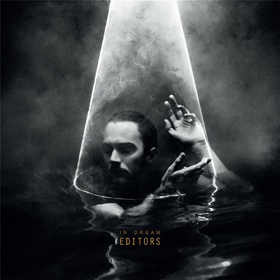 Cover for Editors · In Dream (Clear Vinyl) (LP) (2022)