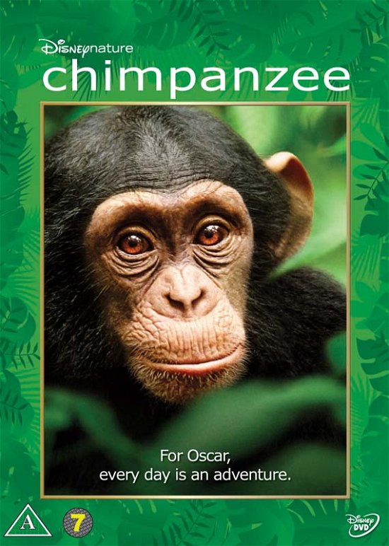 Disneynature · Chimpanzee (2012) [DVD] (DVD) (2024)