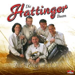 Das Leben Ist Schön - Hattinger Buam Die - Musikk - TYROLIS - 9003549524359 - 28. april 2008