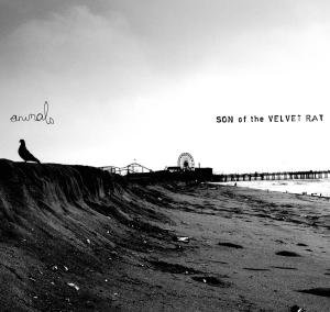Cover for Son of the Velvet Rat · Animals (CD) (2009)