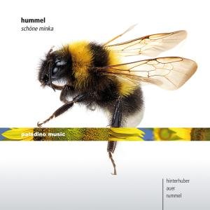 Cover for Hummel / Auer / Rummel · Schoene Minka (CD) (2013)