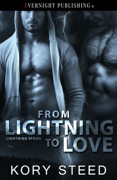 From Lightning to Love - Kory Steed - Books - Evernight Publishing - 9780369500359 - August 29, 2019