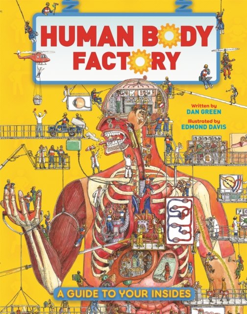 The Human Body Factory: A Guide To Your Insides - Dan Green - Książki - Pan Macmillan - 9780753448359 - 20 lipca 2023
