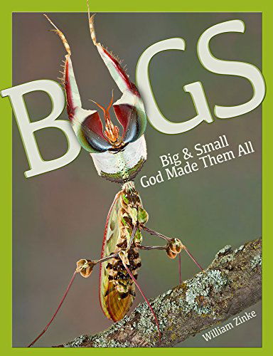 Cover for William Zinke · Bugs Big &amp; Small God Made Them All (Hardcover Book) (2014)