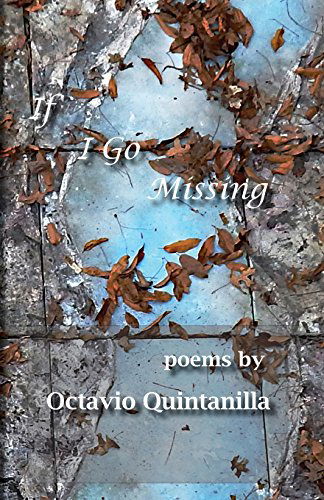 Cover for Octavio Quintanilla · If I Go Missing (Paperback Book) (2014)