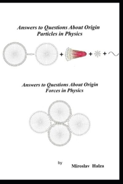 Cover for Miroslav Halza · Answers to Questions About Origin Particles in Physics (Paperback Book) (2019)