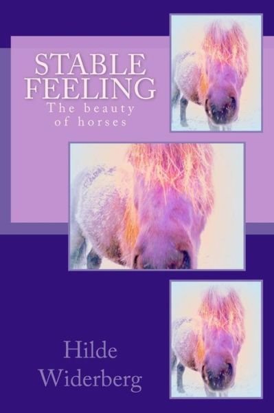 Cover for Ms Hilde Widerberg · Stable Feeling: the Beauty of Horses (Paperback Bog) (2014)
