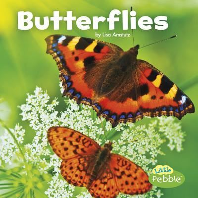 Butterflies - Lisa J. Amstutz - Books - Capstone Press - 9781515719359 - August 1, 2016