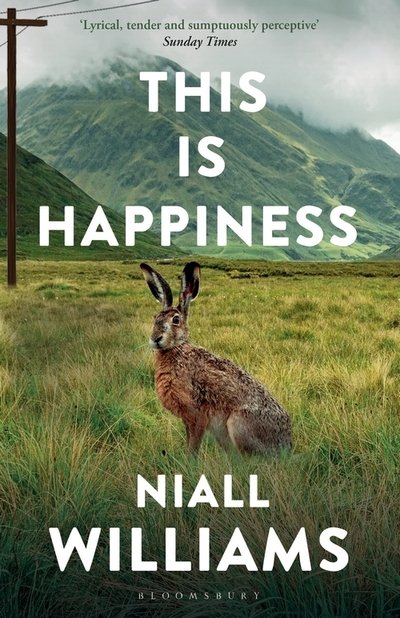 Cover for Niall Williams · This Is Happiness (Taschenbuch) (2020)