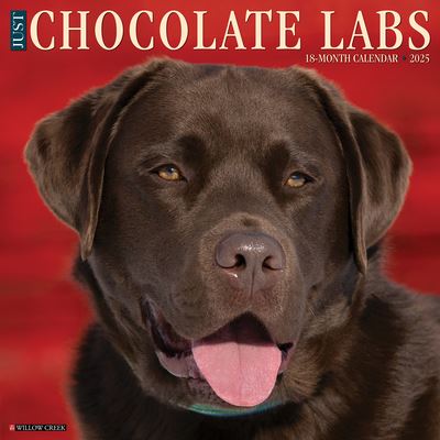 Willow Creek Press · Just Chocolate Labs 2025 12 X 12 Wall Calendar (Kalender) (2024)