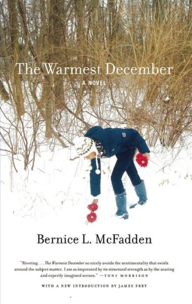 The Warmest December - Bernice L. Mcfadden - Książki - Akashic Books,U.S. - 9781617750359 - 31 stycznia 2012