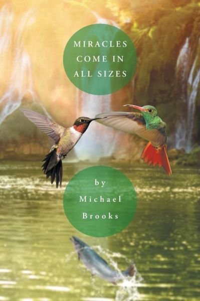 Cover for Michael Brooks · Miracles Come in All Sizes (Pocketbok) (2017)