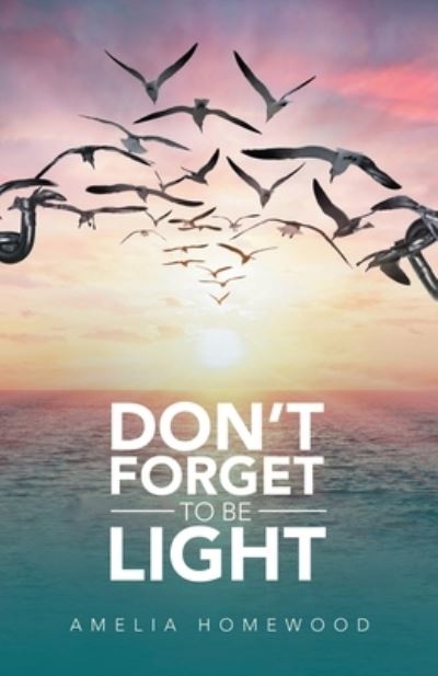 Cover for Amelia Homewood · Don't Forget to Be Light (Buch) (2022)