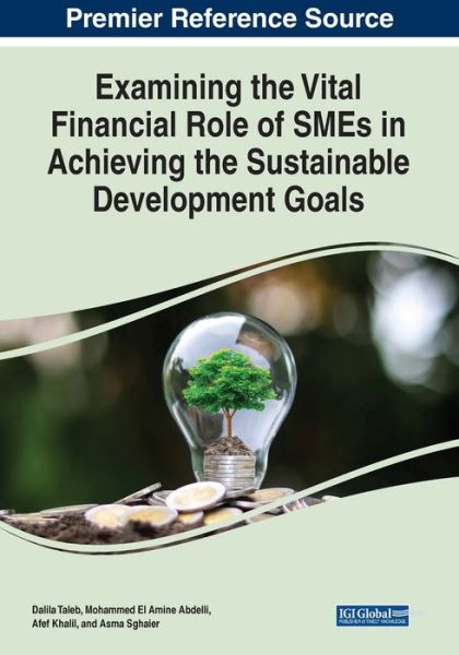 Cover for Examining the Vital Financial Role of SMEs in Achieving the Sustainable Development Goals (Paperback Book) (2023)