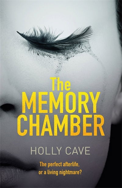 Cover for Holly Cave · The Memory Chamber (Hardcover Book) (2018)