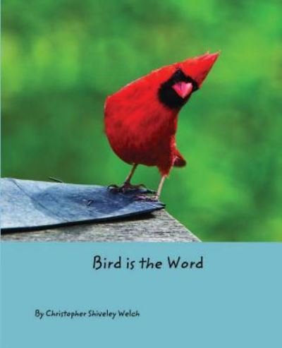 Christopher Shiveley Welch · Bird is the Word (Pocketbok) (2019)