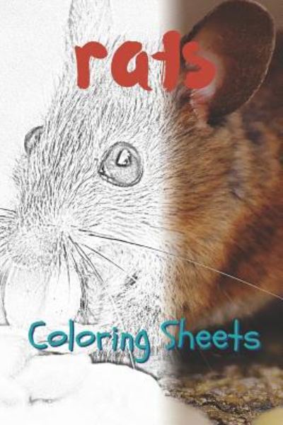 Cover for Julian Smith · Rat Coloring Sheets (Pocketbok) (2019)