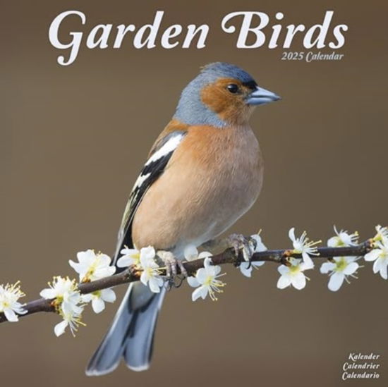 Cover for Garden Birds Calendar 2025  Square Birds Wall Calendar - 16 Month (Calendar) (2024)