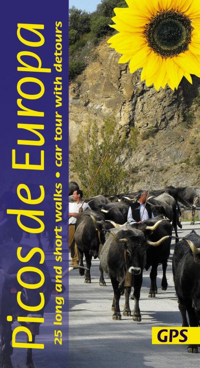 Cover for Teresa Farino · Picos de Europa Sunflower Walking Guide: 25 long and short walks with detailed maps and GPS; car tour with pull-out map (Pocketbok) (2022)