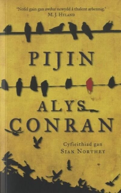 Cover for Alys Conran · Pijin (Paperback Bog) (2016)