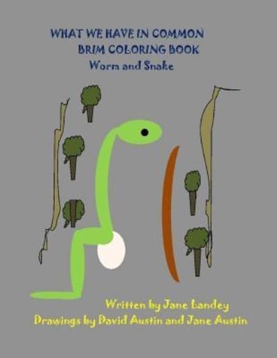 Cover for Jane Landey · Worm and Snake (Pocketbok) (2017)
