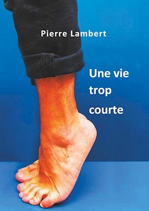 Cover for Lambert · Une vie trop courte (Bok)