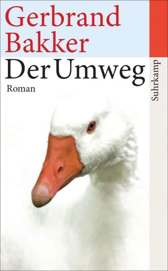 Cover for Gerbrand Bakker · Der Umweg (Pocketbok) (2013)