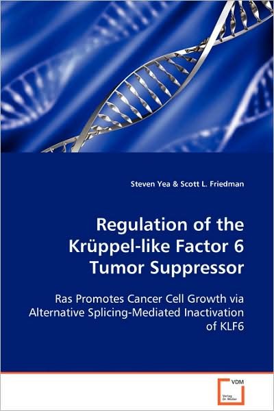 Regulation of the Krüppel-like Factor 6 Tumor Suppressor: Ras Promotes Cancer Cell Growth Via Alternative Splicing-mediated Inactivation of Klf6 - Steven Yea - Böcker - VDM Verlag Dr. Müller - 9783639103359 - 6 november 2008