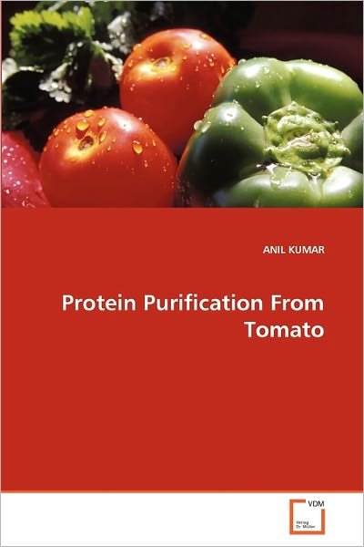 Cover for Anil Kumar · Protein Purification from Tomato (Paperback Book) (2011)