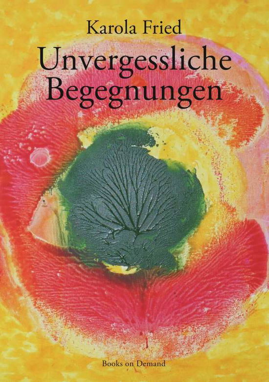 Cover for Fried · Unvergessliche Begegnungen (Book)