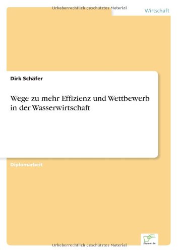 Wege zu mehr Effizienz und Wettbewerb in der Wasserwirtschaft - Dirk Schafer - Books - Diplom.de - 9783838698359 - September 14, 2006