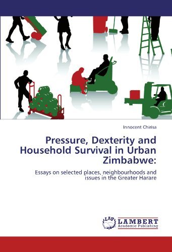 Cover for Innocent Chirisa · Pressure, Dexterity and Household Survival in Urban Zimbabwe:: Essays on Selected Places, Neighbourhoods and Issues in the Greater Harare (Taschenbuch) (2011)