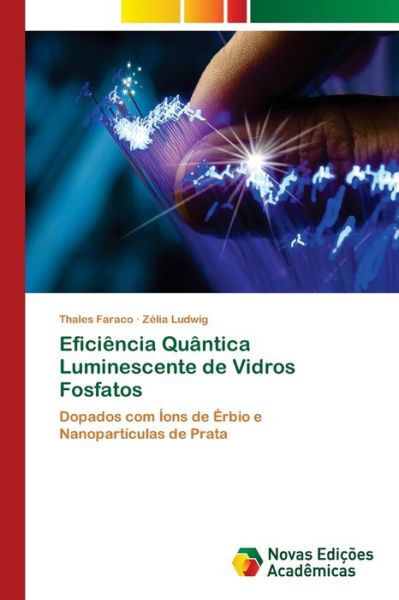 Cover for Faraco · Eficiência Quântica Luminescente (Bok) (2017)
