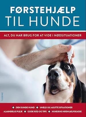 Cover for Jennifer Parker · Førstehjælp til hunde (Sewn Spine Book) [1e uitgave] (2022)