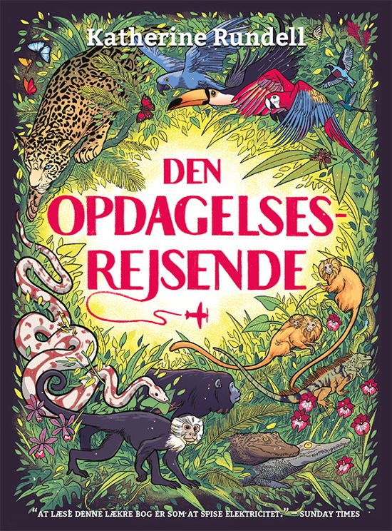 Cover for Katherine Rundell · Den Opdagelsesrejsende (Heftet bok) [1. utgave] (2018)