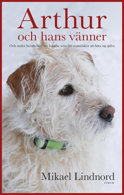 Cover for Val Hudson Mikael Lindnord · Arthur och hans vänner : och andra berättelser om hundar som fått människor att hitta sig själva (Hardcover Book) (2017)