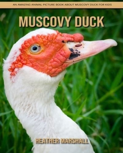 Cover for Heather Marshall · Muscovy Duck: An Amazing Animal Picture Book about Muscovy Duck for Kids (Taschenbuch) (2021)