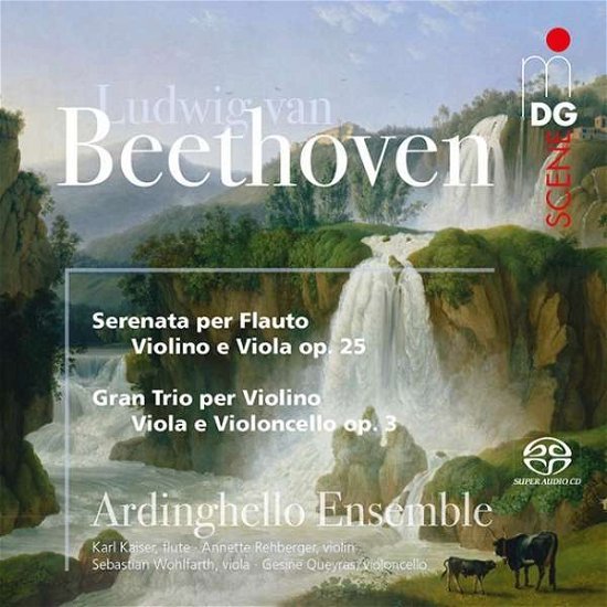 Beethoven: Serenade Op. 25 / String Trio Op. 3 - Ardinghello Ensemble - Música - MDG - 0760623195360 - 3 de junio de 2016