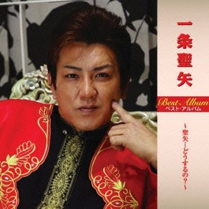 Cover for Seiya Ichijyo · Best Album (CD) [Japan Import edition] (2012)