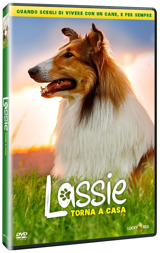 Cover for Lassie Torna a Casa (DVD) (2022)