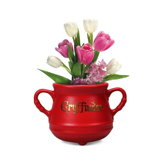 Harry Potter - Harry Potter Gryffindor Cauldron Shaped Wall Vase (Homeware) - Harry Potter - Merchandise - HALF MOON BAY - 5055453484360 - 9. juli 2021