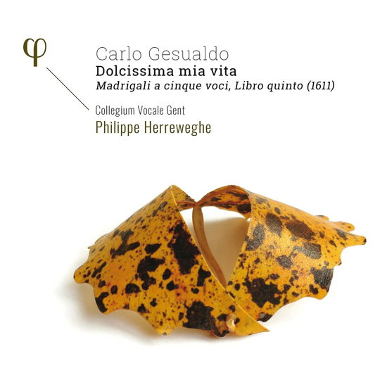 Cover for Collegium Vocale Gent / Philippe Herreweghe · Gesualdo: Madrigali a 5 Voci, Libro Quinto (1611) (CD) (2021)