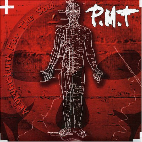 Pmt · Accupuncture for the Soul (CD) (2005)