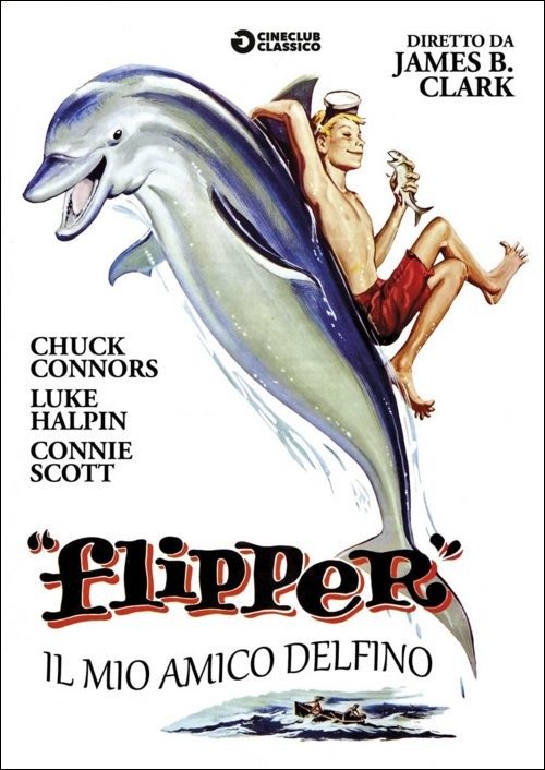 Cover for Flipper · Flipper - Il Mio Amico Delfino (DVD)