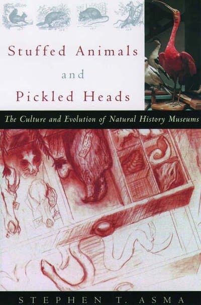Cover for Asma, Stephen T. (Professor of Philosophy and Interdisciplinary Humanities, Professor of Philosophy and Interdisciplinary Humanities, Columbia College, Chicago) · Stuffed Animals and Pickled Heads: The Culture of Natural History Museums (Pocketbok) (2003)