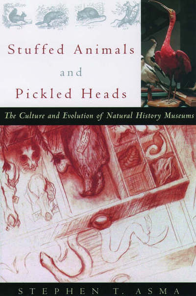 Cover for Asma, Stephen T. (Professor of Philosophy and Interdisciplinary Humanities, Professor of Philosophy and Interdisciplinary Humanities, Columbia College, Chicago) · Stuffed Animals and Pickled Heads: The Culture of Natural History Museums (Paperback Book) (2003)